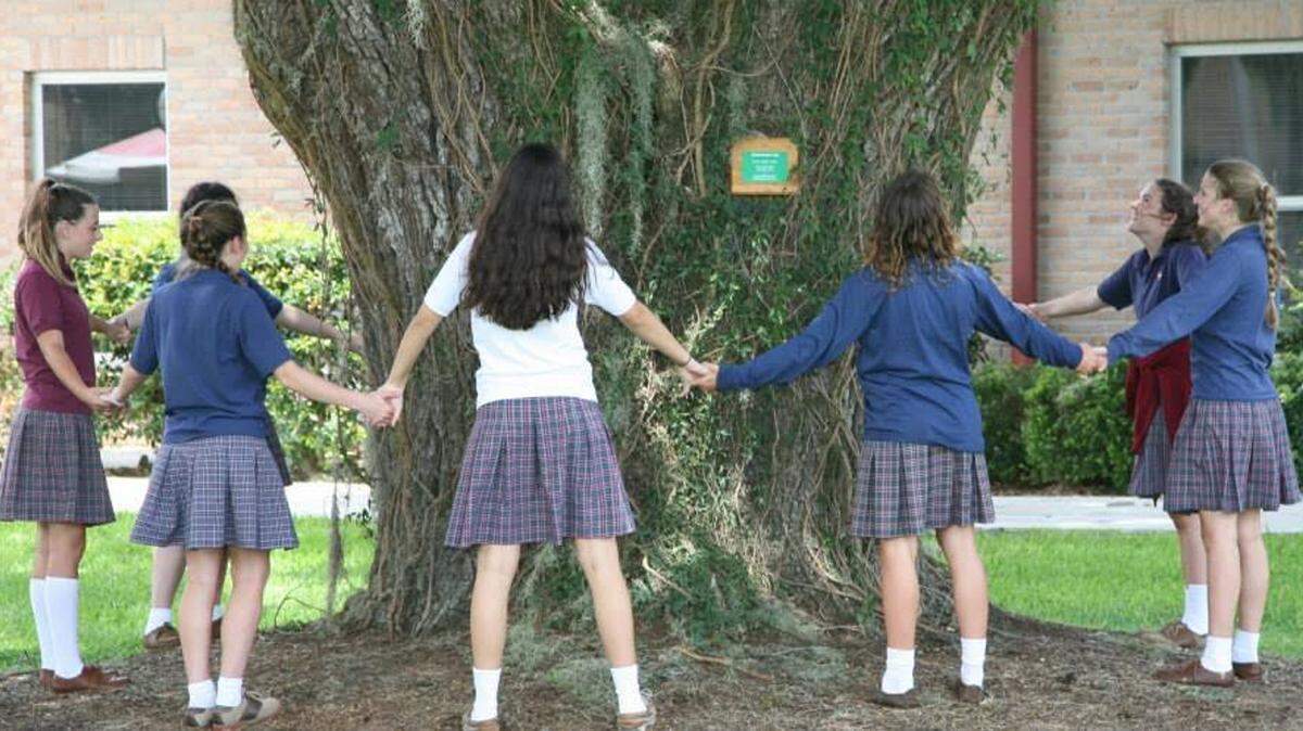 COURTESY OUR LADY ACADEMYOur Lady Academy's Laura Grace Ritten, left, Abby Koons, Alia Tayara, Candi Gordon, Sydney Wittmann and Mathilde Gagnet encircle the once-mighty oak in front of the school.