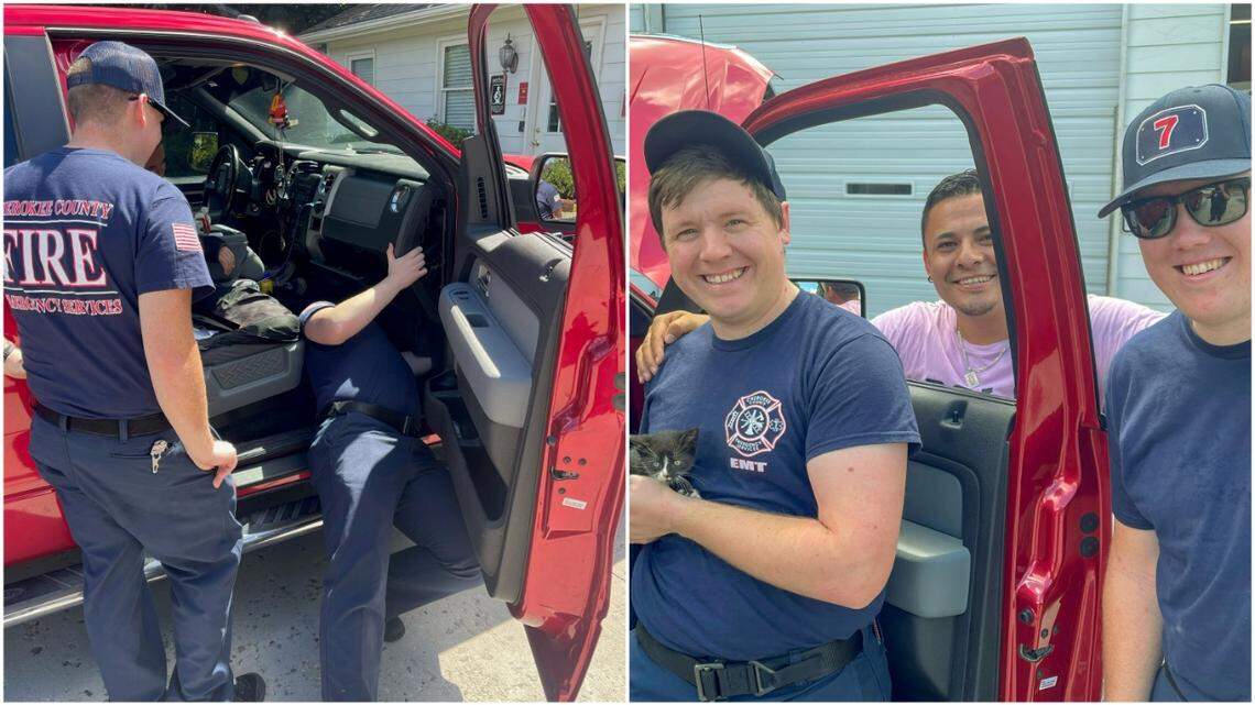 A newly adopted kitten had to be rescued after it crawled behind the dashboard of its owner’s car and got stuck on its way home in Georgia, fire rescue officials said.