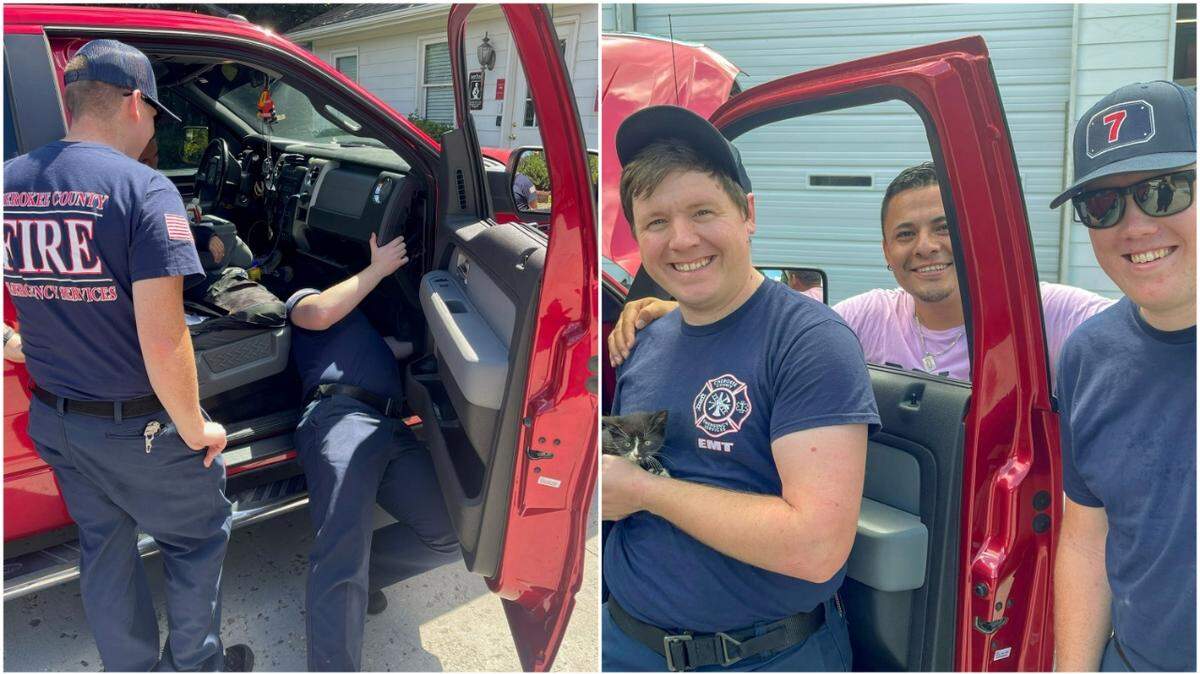 A newly adopted kitten had to be rescued after it crawled behind the dashboard of its owner’s car and got stuck on its way home in Georgia, fire rescue officials said.