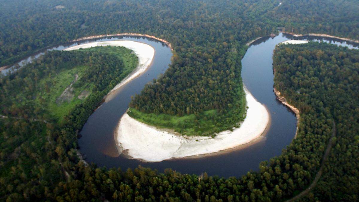TIM ISBELL/SUN HERALD/2003 
 The Pascagoula River winds through George County before making its way to neighboring Jackson County. Plans are underway to dam the river to create a lake in George County. The Pascagoula River is the only free flowing river in the U. S. A dam would hurt the ecological wonder of the Pascagoula, officials said.