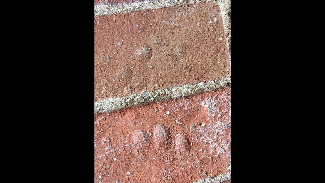Photos shared by Fort Pulaski National Monument in Georgia show the fingerprints left behind in the bricks used by enslaved Black workers to build the Civil War-era fort.