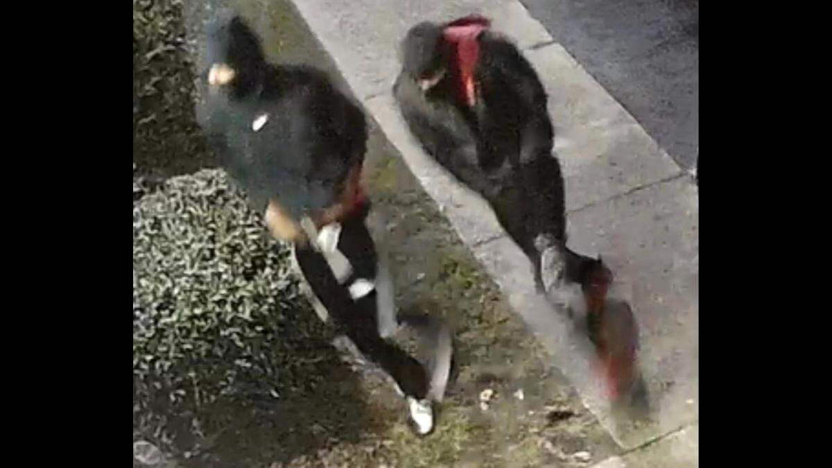 The Pascagoula Police Department is looking to identify two men who allegedly broke into an apartment and stole $5000 and 16 pairs of Jordans.