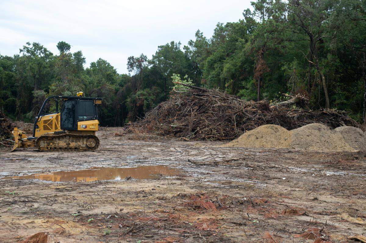 Piles of torn down trees and other plant debris sit in piles on a construction site near Talla Pointe on Friday, Aug. 30, 2024.