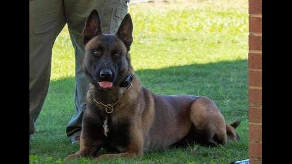 Monroe County K-9 Khan died May 14 after his handler left him inside a hot patrol car overnight in Georgia.