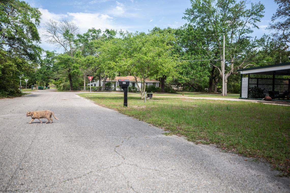 The party was held at a home in a historic Gulfport neighborhood called Mississippi City.