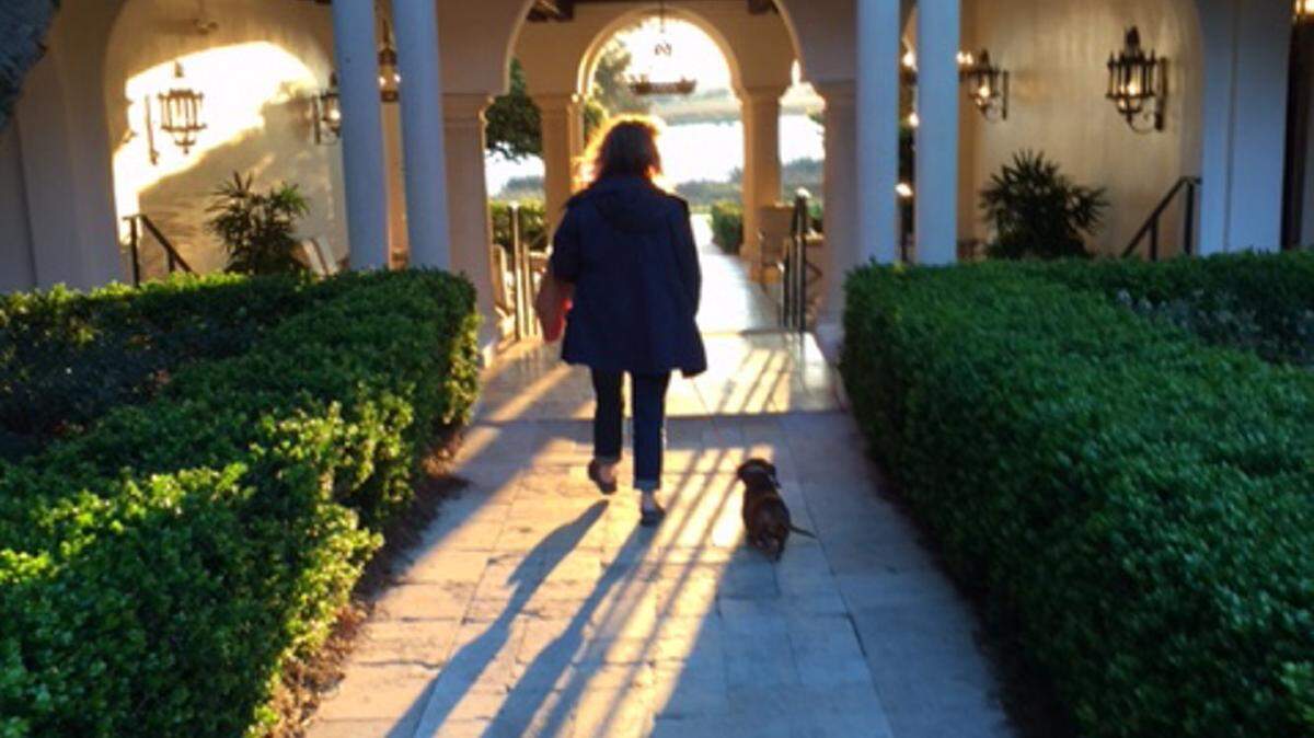 COURTESY RONDA RICHDixie Dew, who died recently, walks into the sunset with Ronda Rich.