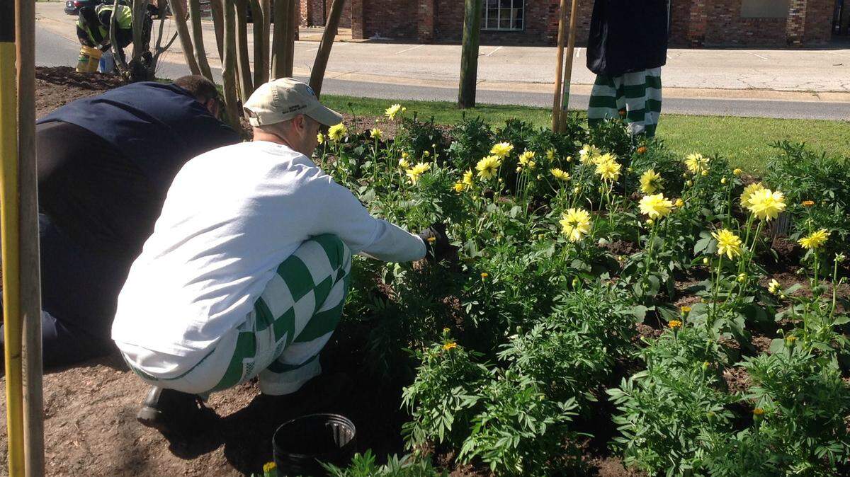 KAREN NELSON/SUN HERALDInmates with the MDOC Community Work program in Jackson County help with landscaping in Pascagoula in March. The state discontinued the program in Jackson County on Friday.