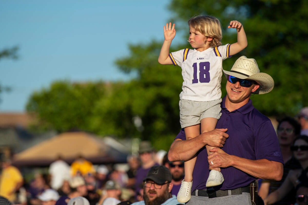 LSU fans cheer during Game Four of NCAA Regionals at Pete Taylor Park in Hattiesburg on Saturday, June 4, 2022.