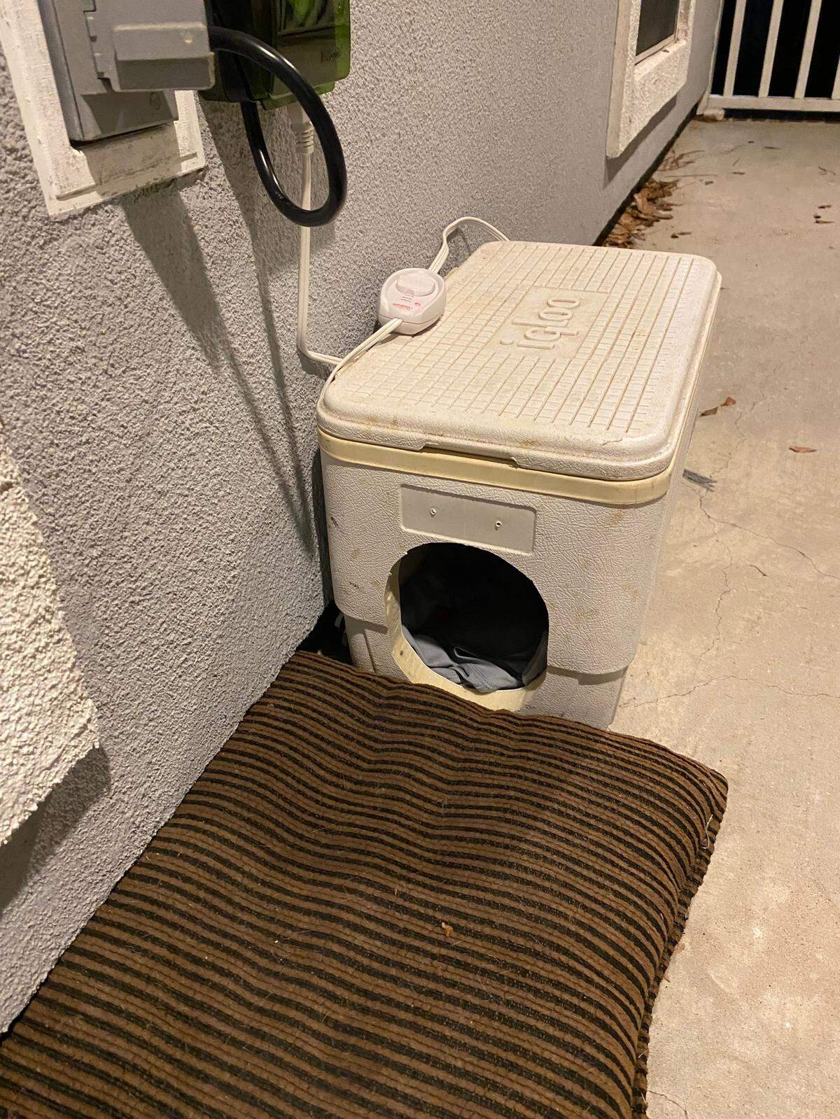 Gulfport resident Joe Pevey made a cat shelter for cold weather and put a heating pad inside under a covered porch. He said a skittish feral cat quickly found the shelter in freezing temperatures, expected again early next week.
