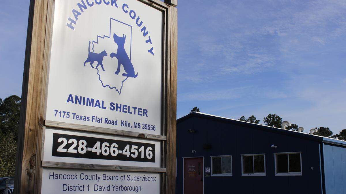 WESLEY MULLER/SUN HERALDThe third annual Fit First Turkey Trot, a 5K race held in Old Town Bay St. Louis, will commence Thursday morning to raise money for the Hancock County Animal Shelter.