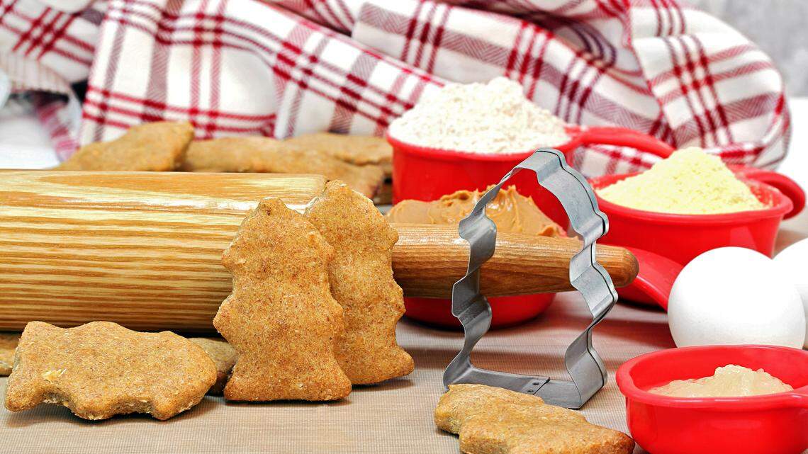 Your dogs and cats will love these homemade treats
