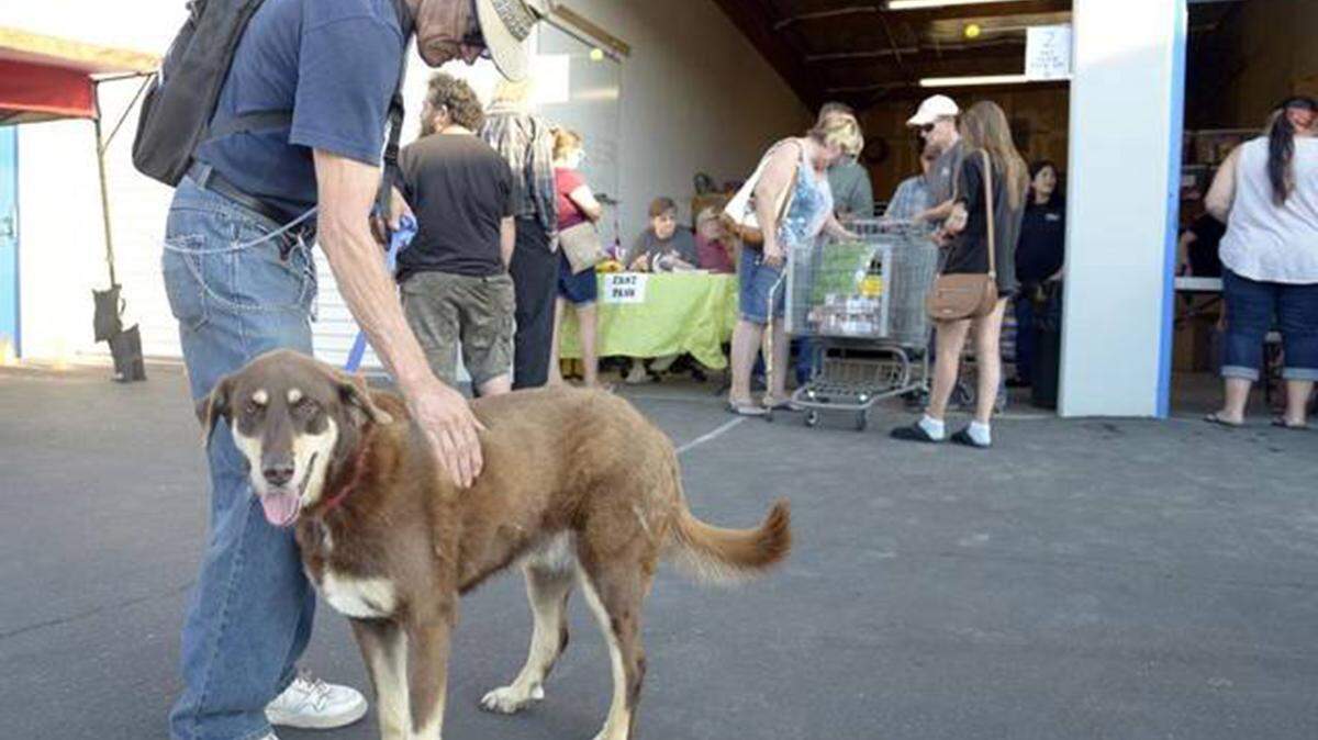 CRAIG KOHLRUSS/FRESNO BEE/TNSSteven Verrue of Fresno, Calif., pets his dog Sable while picking up food at Halo Cafe. Verrue said his dog saved his life.