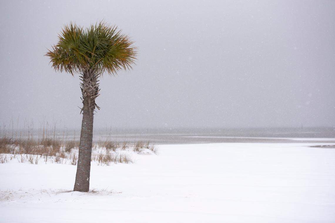 Scenes from the winter storm Jan. 21, 2025, in Gulfport.