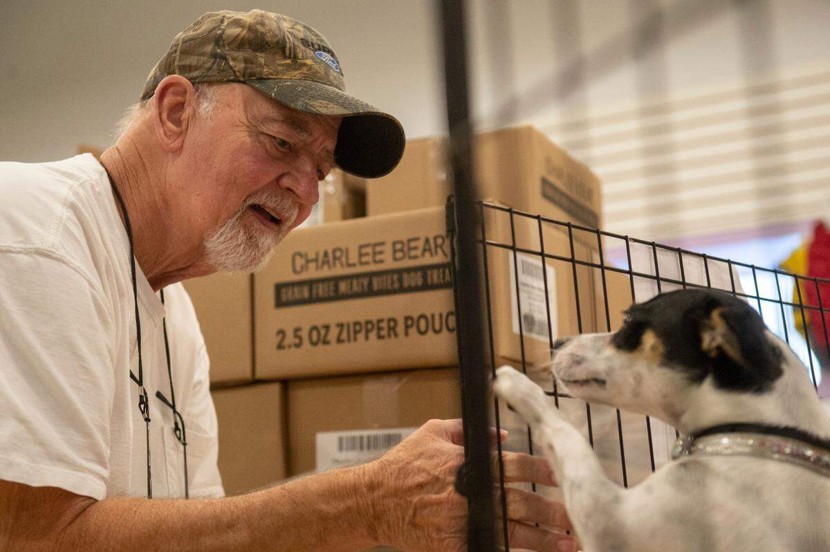Michael Nuss, of Pearlington, who came in looking for a dog to adopt, pets Darling, a skittish rat terrier, at the Humane Society of South Mississippi in Gulfport on Thursday, July 7, 2022.