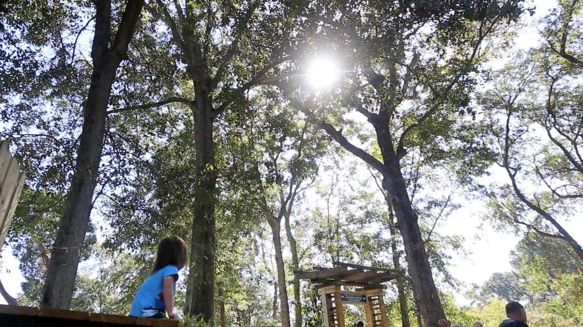 JOHN FITZHUGH/SUN HERALD 
 Meilin Goff, 4, of Vancleave plays in the Debby & Stephen Renfroe Children's Nature Play Garden during the opening of the Pascagoula River Audubon Center in Moss Point on Thursday Oct. 1, 2015. This is one of the new family attractions in South Mississippi and more are on the way.