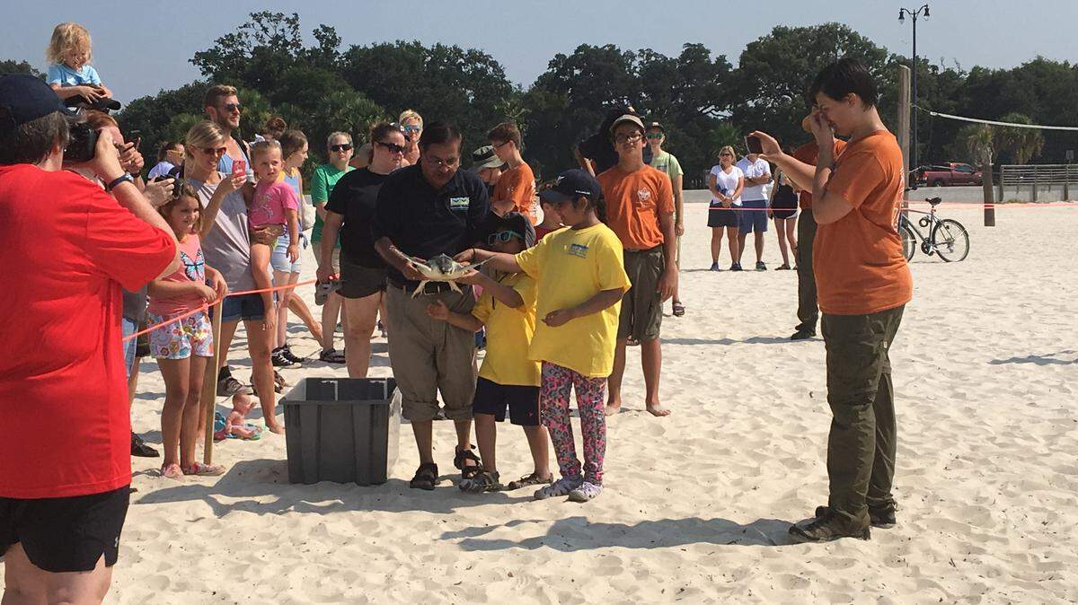Moby Solangi, president of the Institute for Marine Mammal Studies, and two children walk a Kemp’s ridley sea turtle back to the water after it was rehabilitate at the facility in Gulfport. A total of five sea turtles were released back into the Mississippi Sound at Courthouse Pier Saturday after they were caught on fishing hooks by anglers.