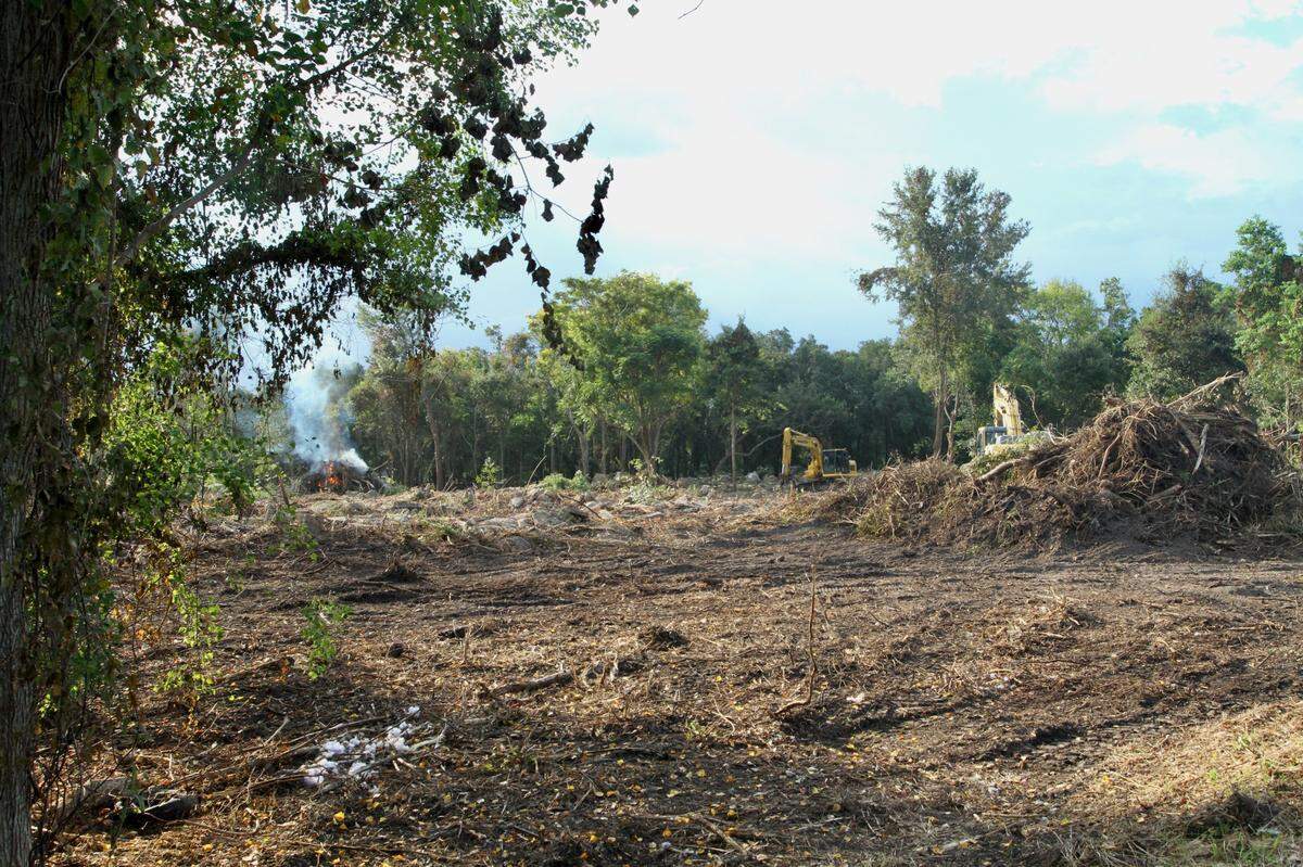 Broadwater Development LLP property being cleared just north of the CSX railroad trackks and east of Iris Street in Biloxi on Tuesday, Sept. 17, 2024.