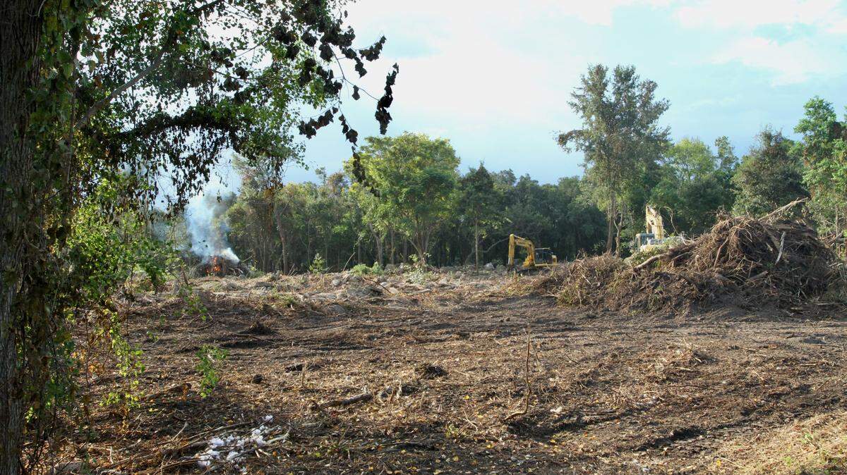 Broadwater Development LLP property being cleared just north of the CSX railroad trackks and east of Iris Street in Biloxi on Tuesday, Sept. 17, 2024.