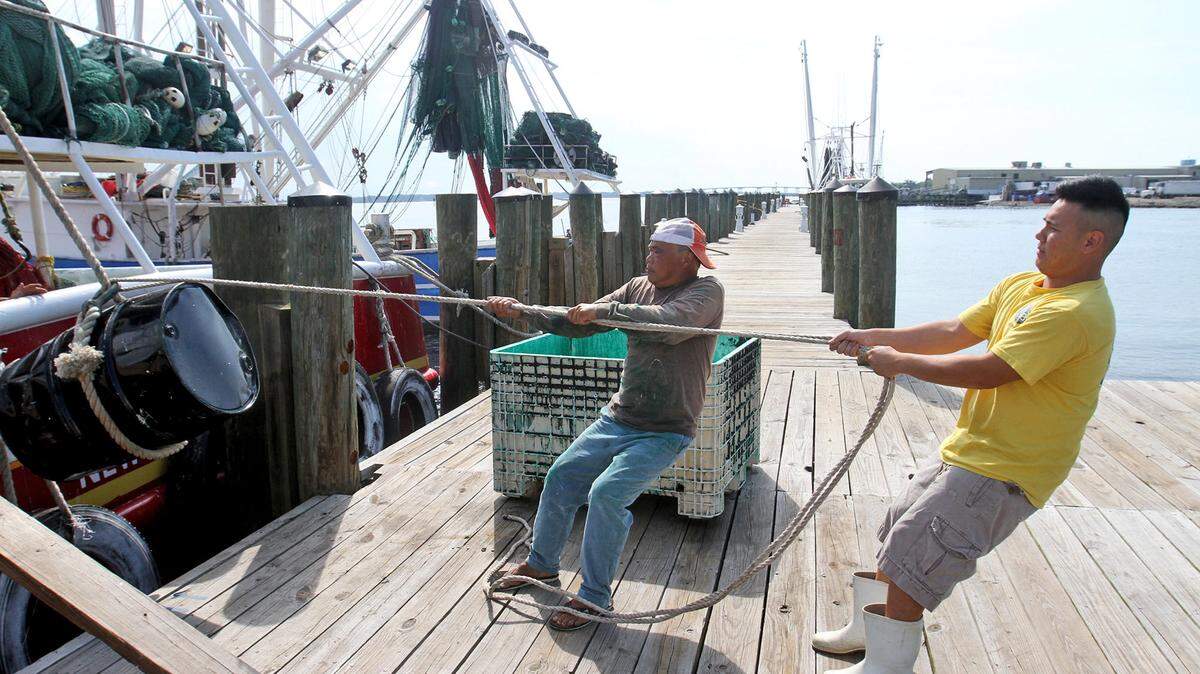 JOHN FITZHUGH/SUN HERALDJames Dang, right, and Tu Troung, both of Ocean Springs, unload a barrel of net dip from their boat at the Sherman V. Canaan Back Bay Fishing Dock in Biloxi on June 2, 2015.