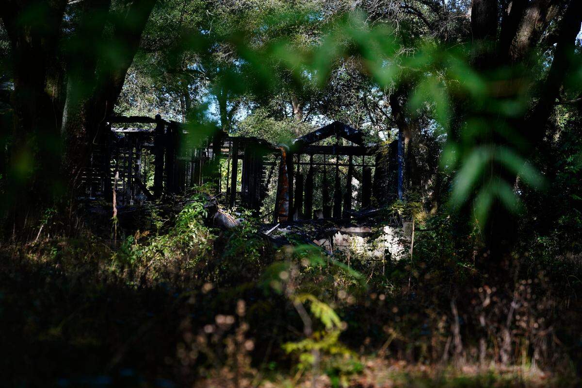 Excessive overgrowth fills a yard last year, in Prichard, Ala., around the remains of a home that burned.