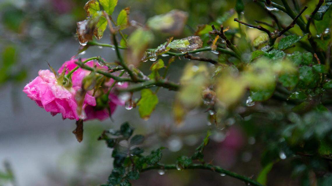 More cold weather nears South MS. Here’s where freezing rain chances are highest