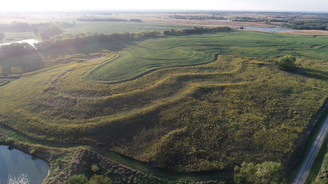 The sun shines on Doug Doughty’s fields, highlighting the terraced landscape. These slopes slow water down as it heads from the field into the underground tile system, reducing soil erosion and nutrient runoff.