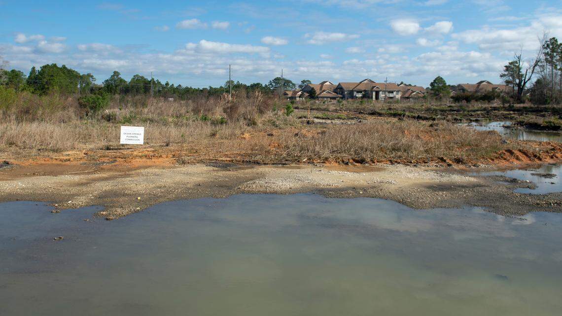 Innovative dining concepts shape the Mississippi business scene in 2025