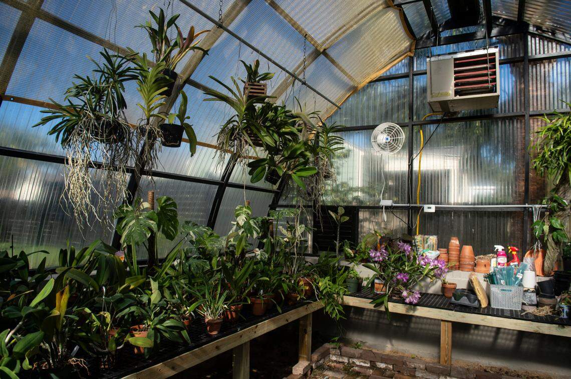 A greenhouse on the property of the Glenn Swetman House in Biloxi on Monday, Dec. 11, 2023. The home was in disrepair when the Lombardi-Bensons acquired it earlier this year.