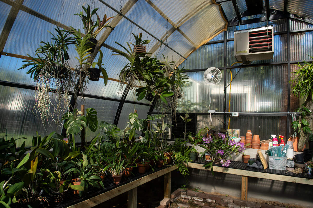 A greenhouse on the property of the Glenn Swetman House in Biloxi on Monday, Dec. 11, 2023. The home was in disrepair when the Lombardi-Bensons acquired it earlier this year.