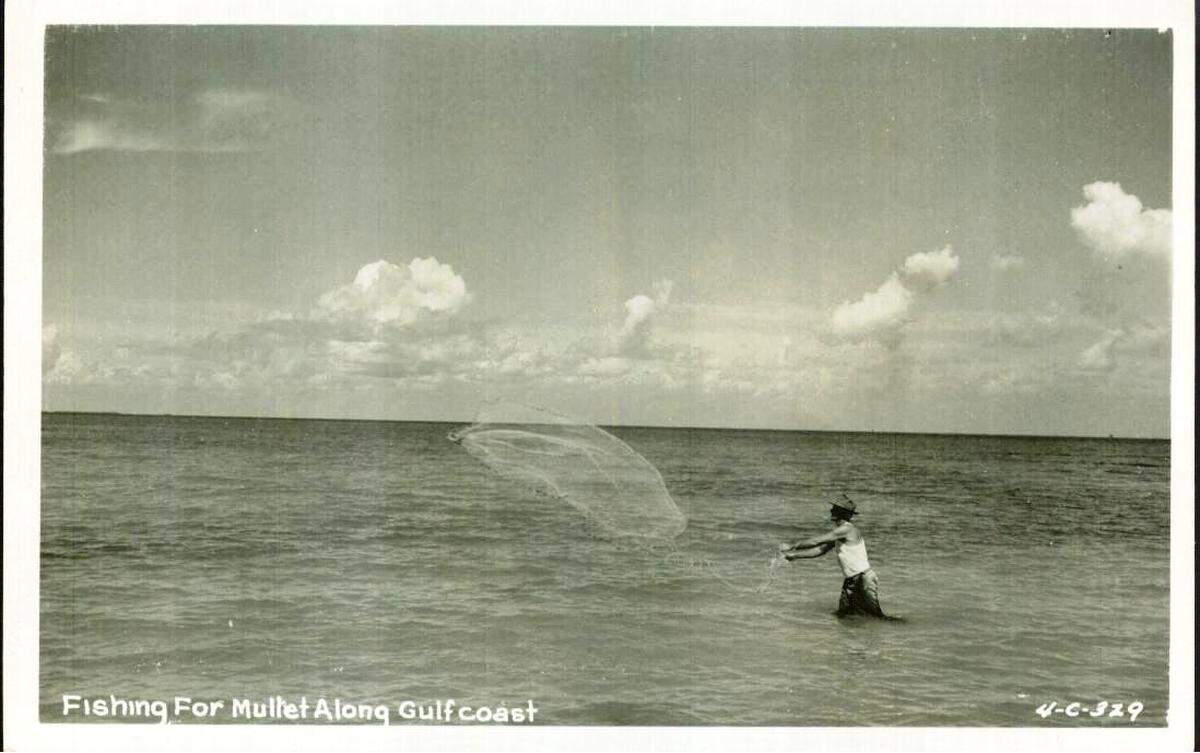 This 1930s photo shows a man casting for mullet, which has been a food staple for people of the Mississippi Coast for centuries. An experienced caster can sometimes achieve up to a 10-foot throw. Old-timers call the net a “mullet gun.” When the net billows out into a (sought-after) circle, it is called throwing a “silver dollar.” An unsatisfactory throw, when the net only partly opens, is called a “half-moon” or throwing a “banana.”