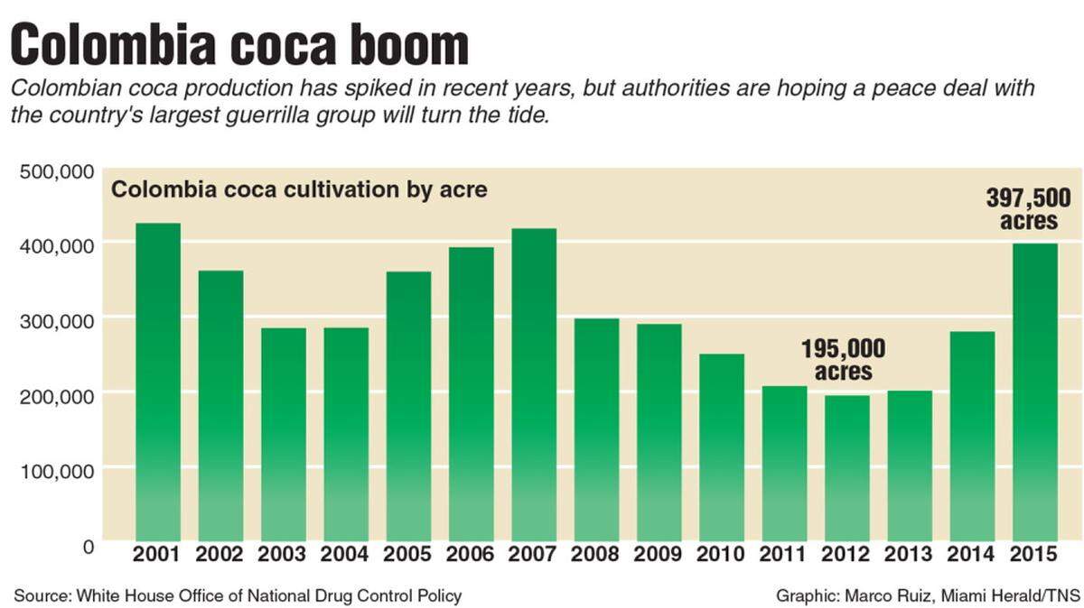 Chart of Colombia coca cultivation. Miami Herald 2016