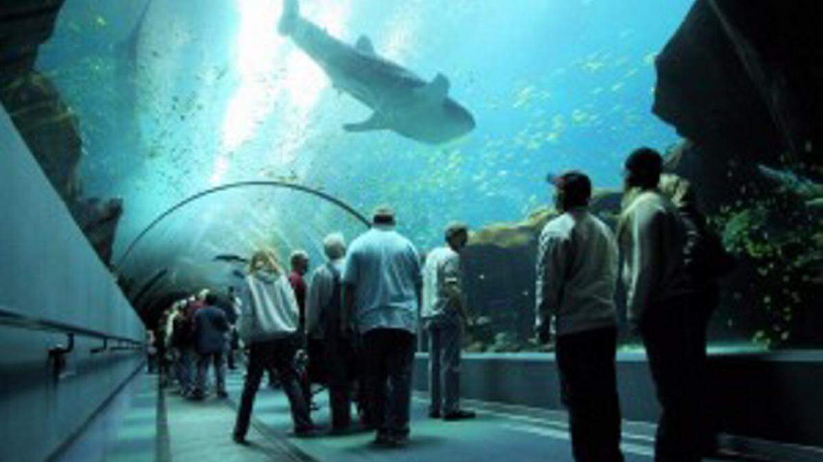PGAV DESTINATIONS 
 The St. Louis, Mo., firm PGAV Destinations designed The Georgia Aquarium, pictured, and is working on plans for the Mississippi Aquarium in Gulfport. PGAV is teaming up on the Gulfport project with local architectural firm Eley Guild Hardy.