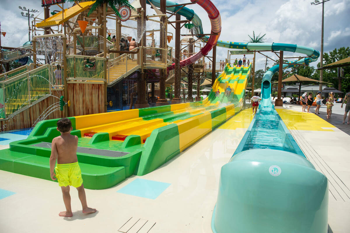 The Reptile Racers and the Peacock Plunge slides at Serengeti Springs at the Hattiesburg Zoo on Wednesday, June 5, 2024.