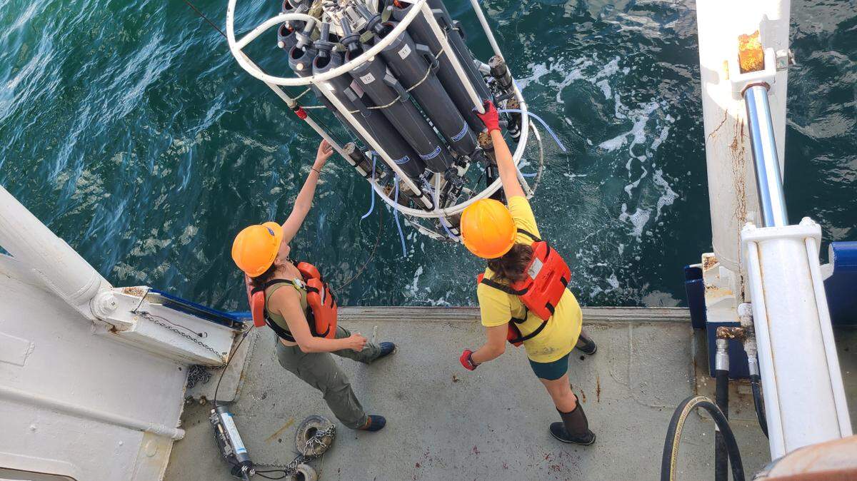 Scientists aboard research vessel Pelican take water samples to measure oxygen as part of an annual survey to determine the size of the Gulf of Mexico’s ‘dead zone.’