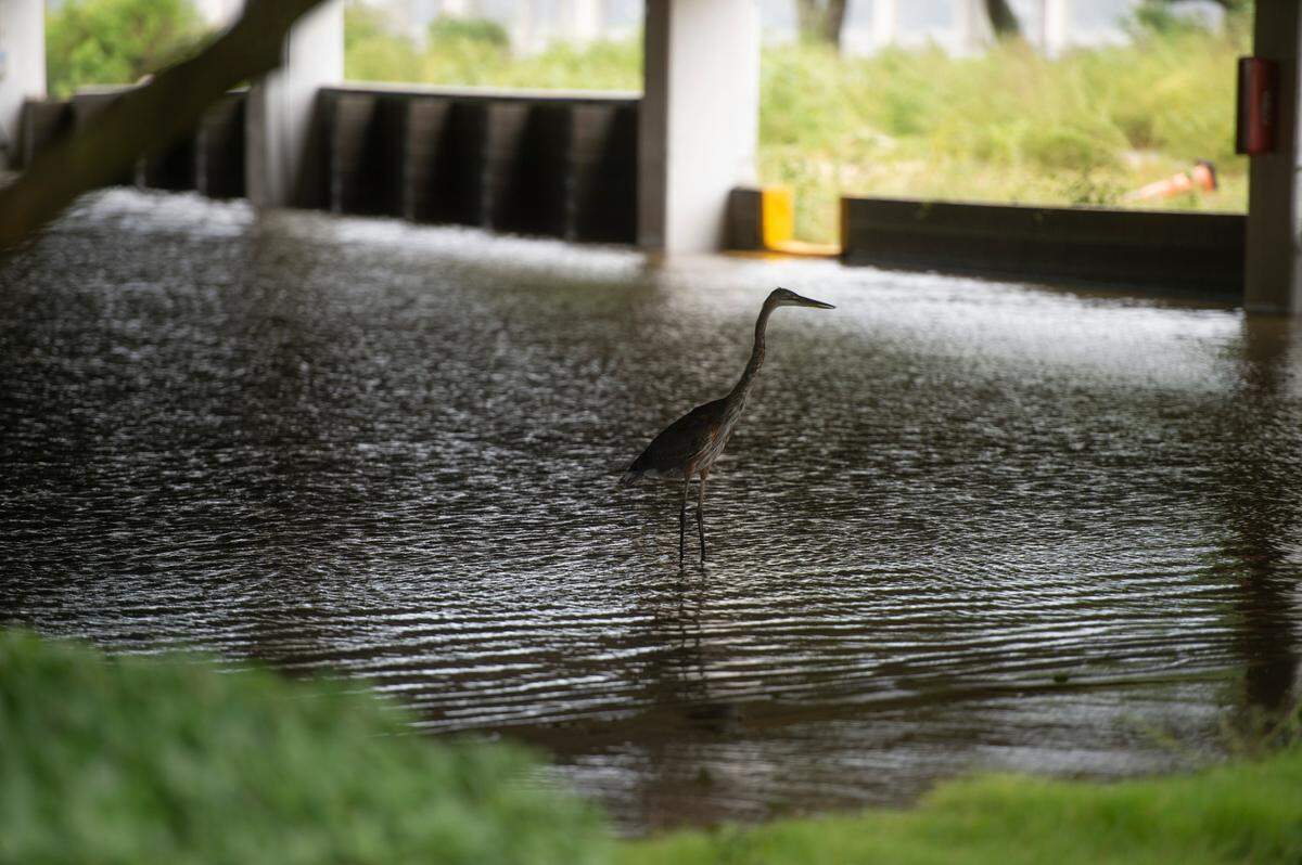 A crane sits in the flooded parking lot of Palace Casino Resort the day after Hurricane Ida on Monday, Aug. 30, 2021