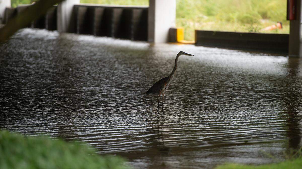 A crane sits in the flooded parking lot of Palace Casino Resort the day after Hurricane Ida on Monday, Aug. 30, 2021