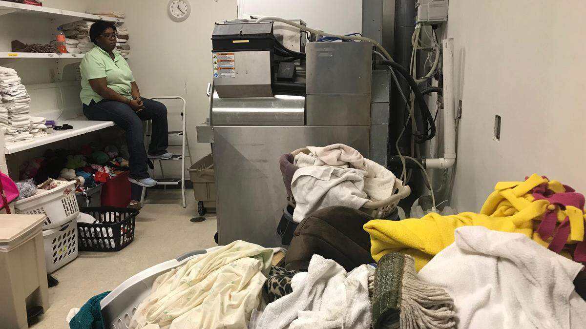 Tabatha Marks, an associate in the thrift store at the Humane Society of South Mississippi, was pressed into laundry duty after rain flooded the building Tuesday. “Everybody’s pitching in,” she said, adding that she had already done five loads of laundry before lunch Wednesday and had “a whole bunch more to go.”