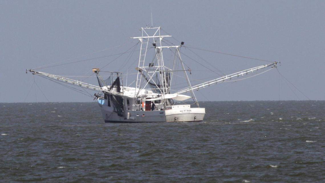 MS seafood processors are eligible for COVID relief money. Here’s how to apply