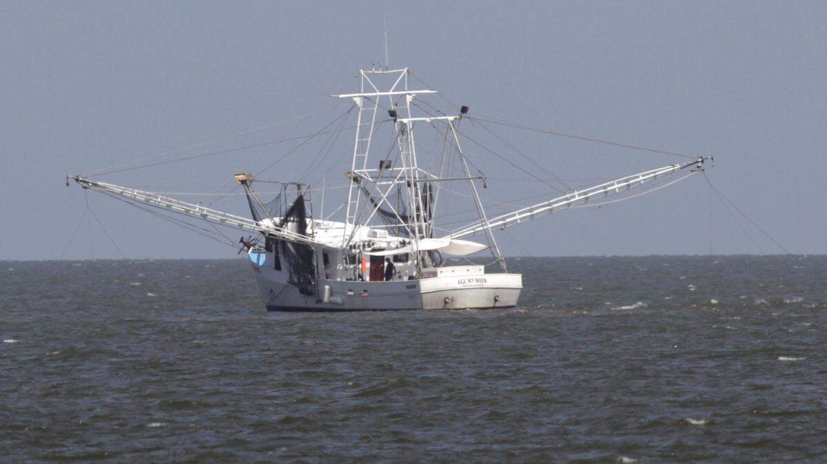 JOHN FITZHUGH/SUN HERALD/FILE A shrimp boat trawls the waters of the Mississippi Sound south of Gulfport. A new report shows that imported shrimp not fit to eat is being turned away from the United States. American Shrimp Processors Association, based in Biloxi, is encouraging consumers to question what is in their seafood and buy domestic shrimp.