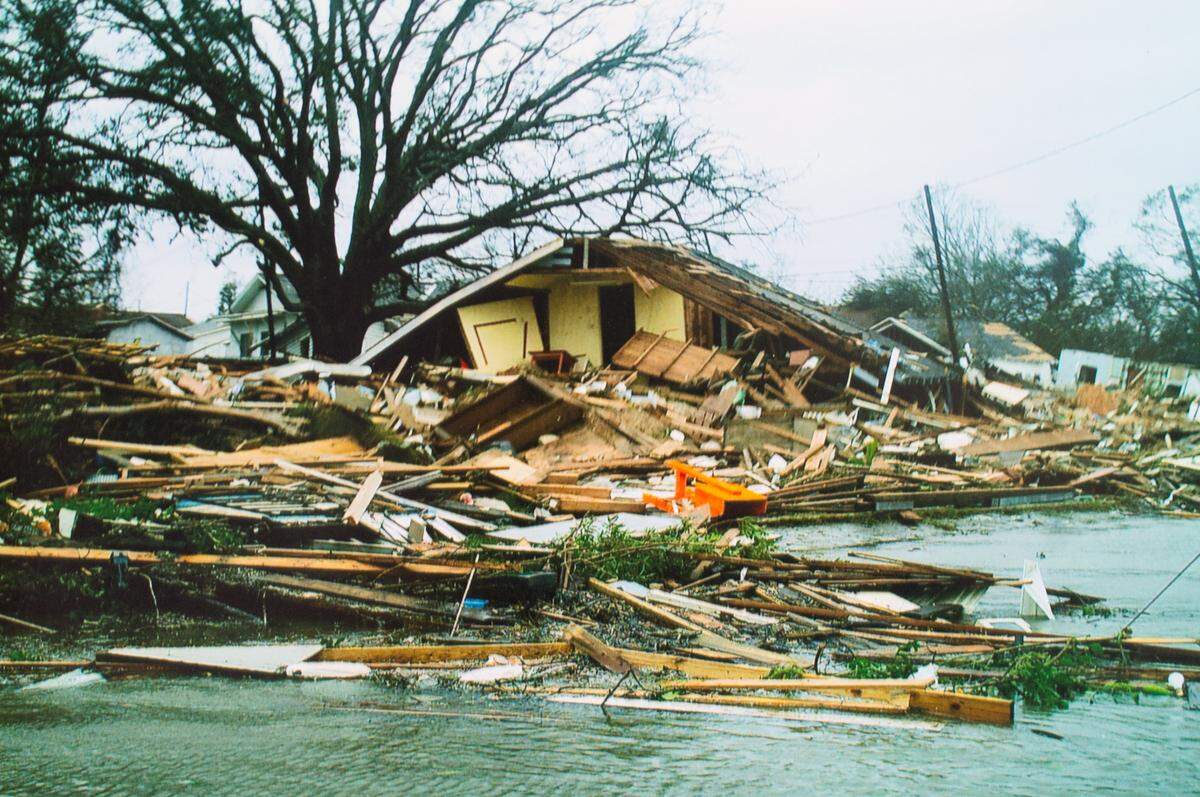 The aftermath of Hurricane Katrina near Michael Kovacevic’s Point Cadet home. The peak of neighbor Lou Bloomberg’s home can be seen wedged by a tree in Kovacevich’s yard. Bloomberg and his mother rode out the storm in the attick of their home and were inside when it moved.