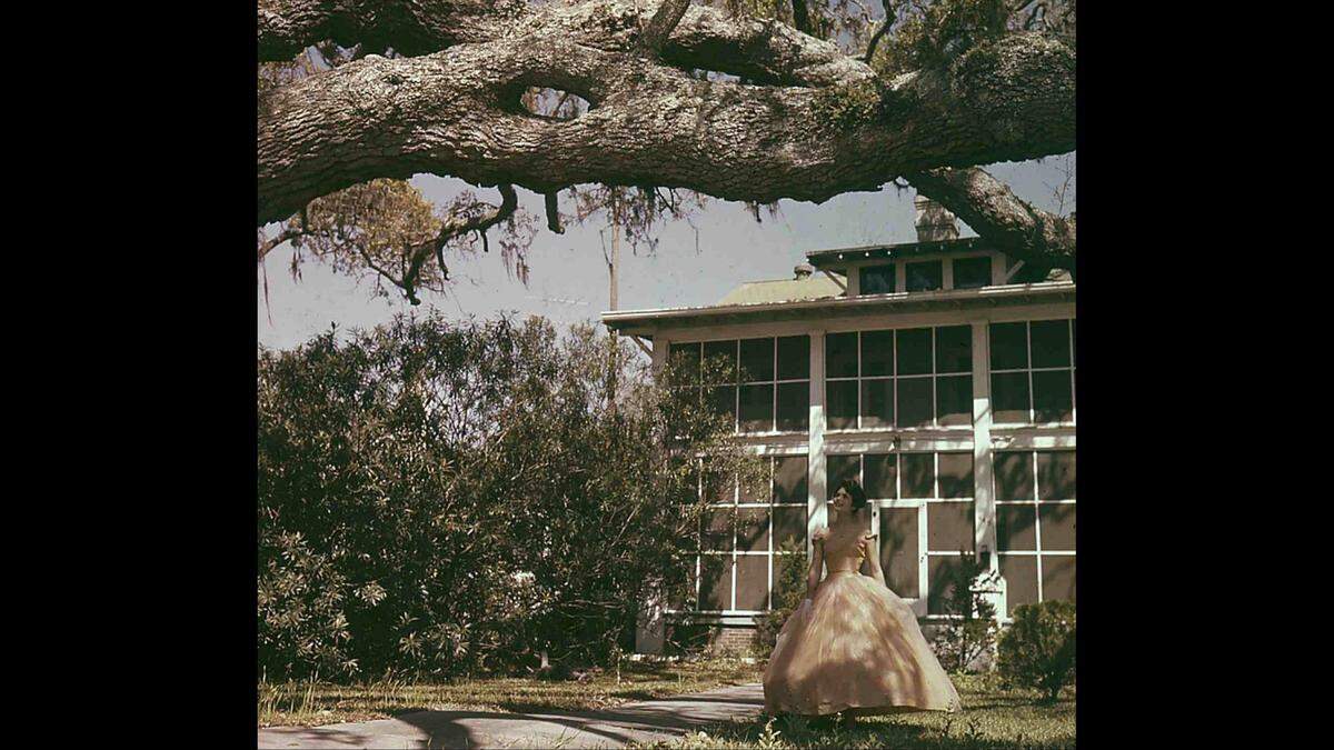 Annette Bird, a model for Down South Magazine, poses in 1961 near the famous Ring in the Oak on the grounds of Episcopal Church of the Redeemer in Biloxi. The ring is the blue spot on the big limb, in about the center of the photograph. Tree growth has filled in some of the hole since the photograph was taken. The tree is at the site of a proposed Home 2 Suites in Biloxi and will be protected.