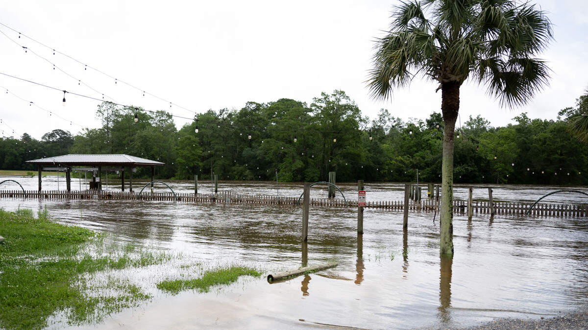 The Jourdan River floods into the docking area at Jourdan River Steamer along Highway 603 in Kiln on Tuesday, May 26, 2026.