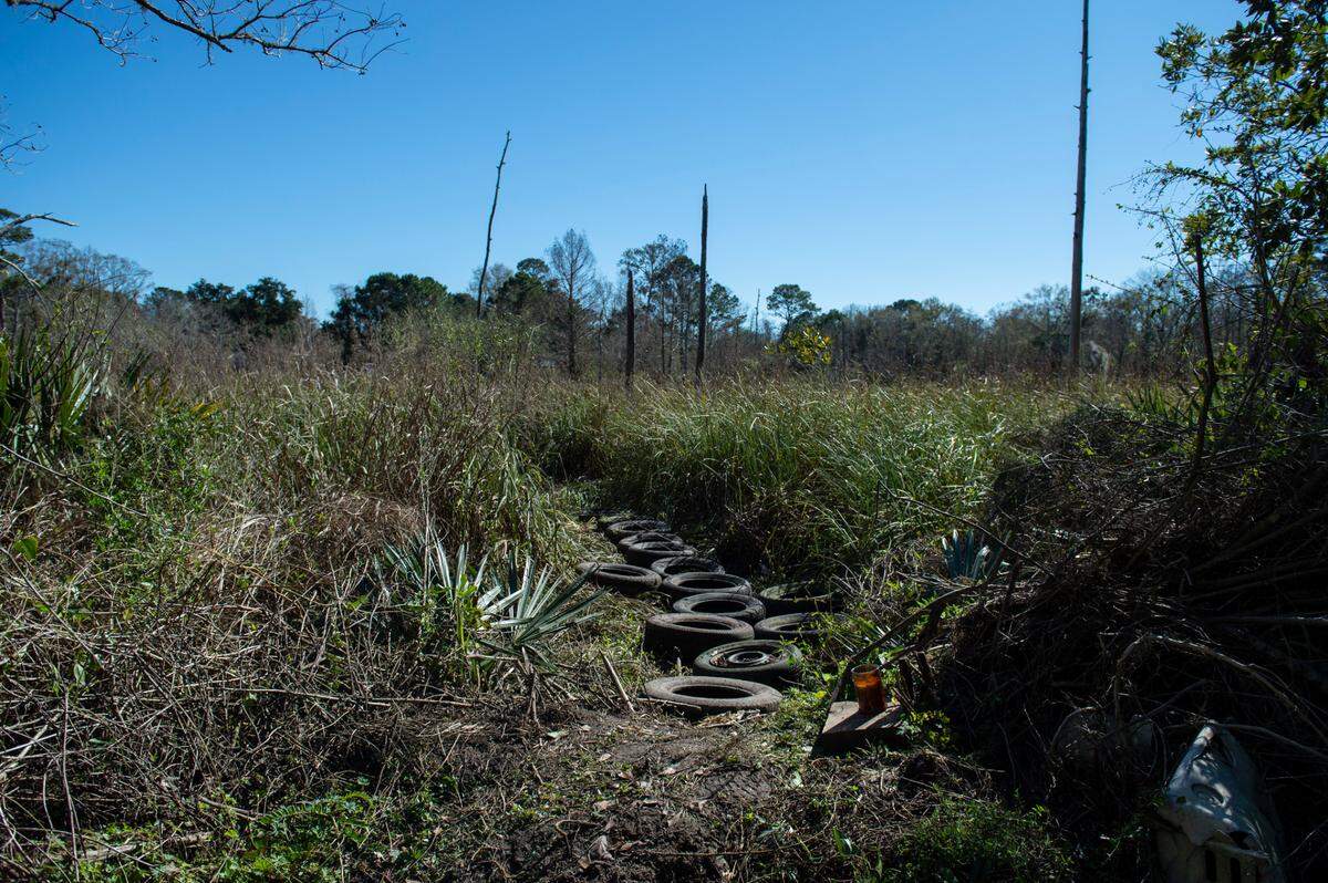 A stretch of marsh behind homes on Howze Avenue on Monday, Jan. 17, 2022. Corri Howard’s body was recovered from the marsh on Jan. 13 after he went missing following a police chase on Jan. 8.
