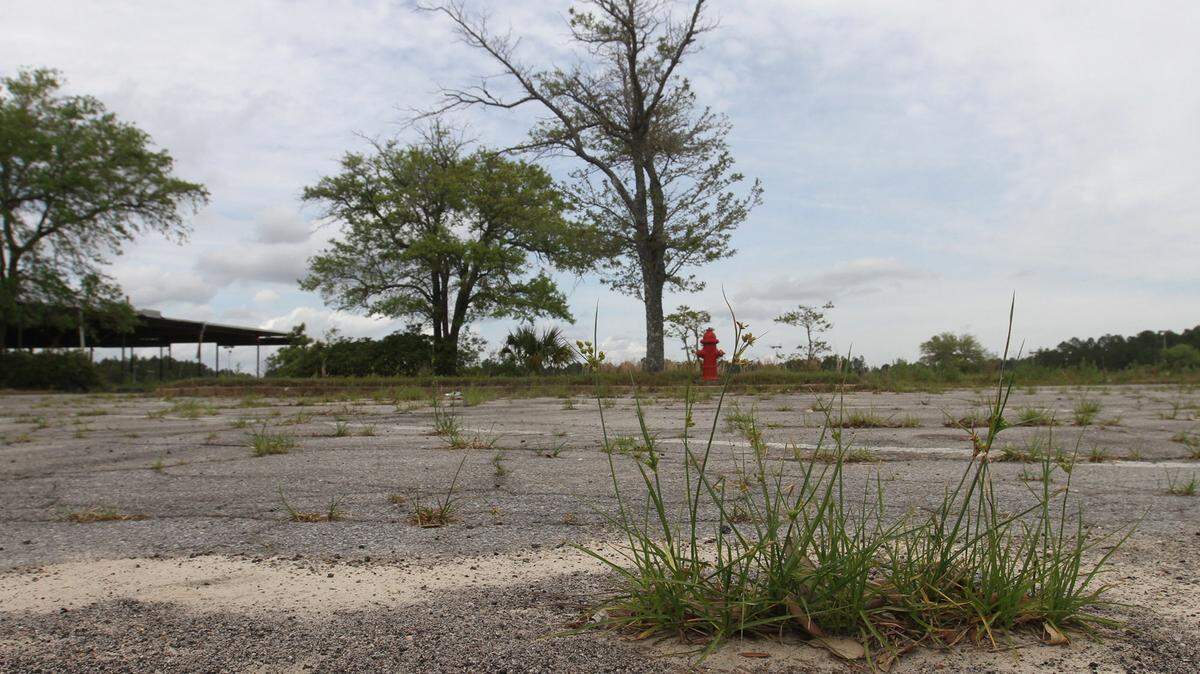 JOHN FITZHUGH/SUN HERALD 
 Grass grows in the empty parking lot at Singing River Mall in Gautier.