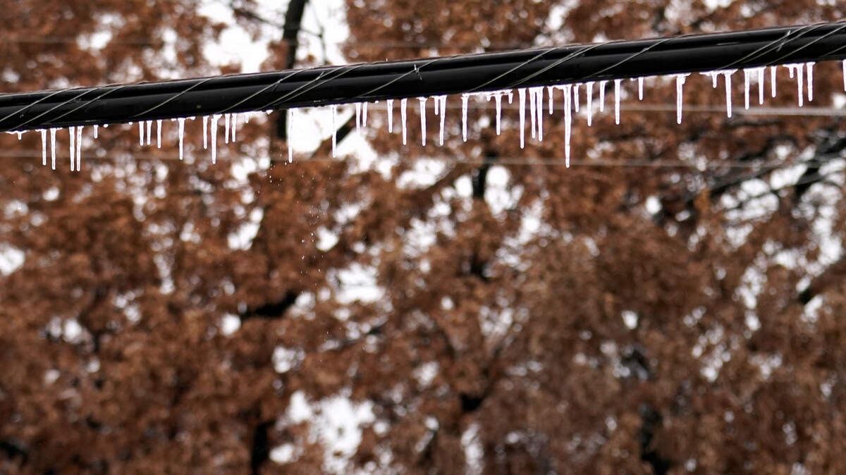 Icicles coat and hang off an electrical line in Richardson, Texas. Scenes such as this are possible on the Mississippi Coast, with some freezing rain is expected.