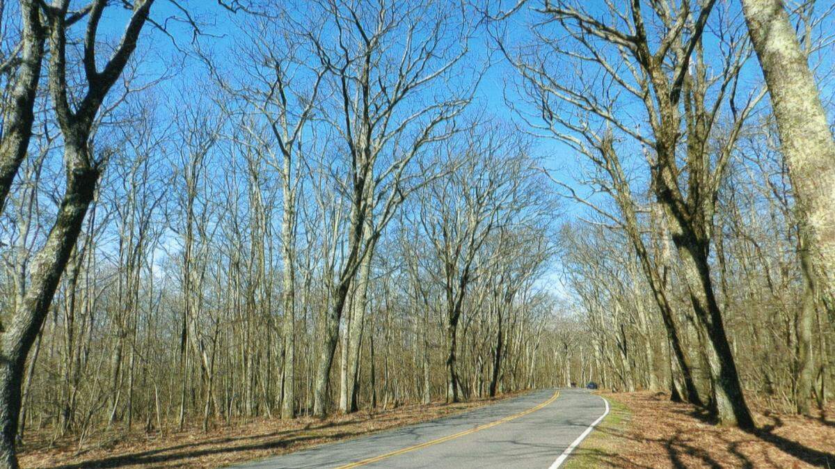KAT BERGERON/SPECIAL TO THE SUN HERALDThe famous Skyline Drive of the Virginia Piedmont, even when still wearing its winter cloak in late March, is inviting to drivers who are limited to 35 mph in Shenandoah National Park.