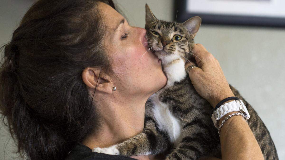 LEZLIE STERLING/SACRAMENTO BEE/TNSBarbara Doty, cat rescuer and founder of the nonprofit LapCats, kisses one of her foster cats, a playful brown tabby named Minette, in Sacramento, Calif.