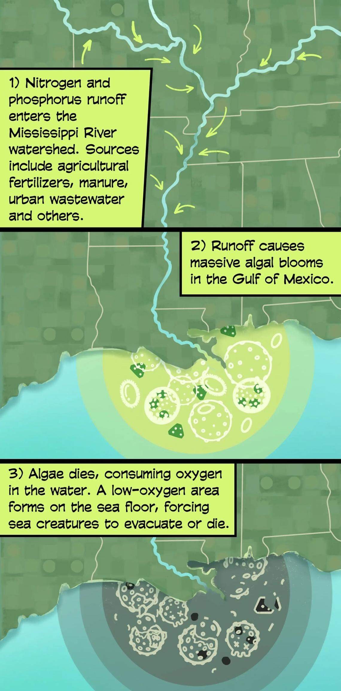 A closer look at runoff.