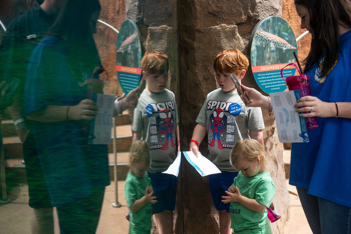 Weston Brown, 6, center, watches fish with his siblings Remington and Riley, right, at the Mississippi Aquarium in Gulfport on Wednesday, March 20, 2024. Weston, who is in remission from cancer, chose to come to the Mississippi Coast for a trip provided by Make-A-Wish.