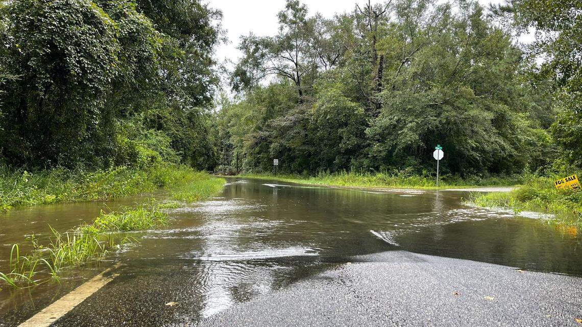 Do MS showers flood your yard? Here are 5 tips to keep from wading to your front door